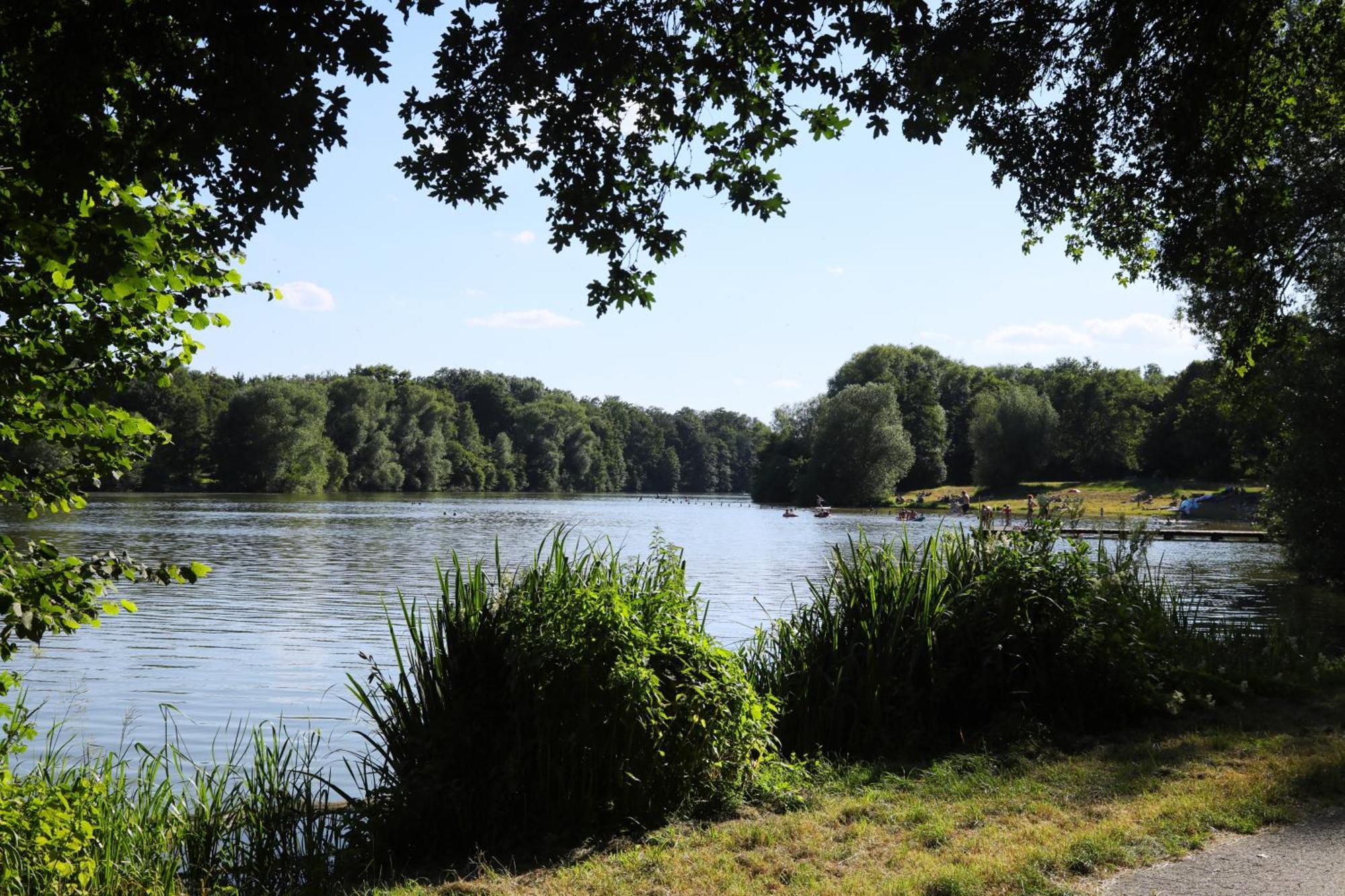 Romantik Hotel Landhaus Biewald Friedland  Bagian luar foto